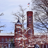 Buy canvas prints of Smithsonian Castle Through Snowy Trees Washington DC Trademark o by William Perry
