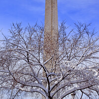 Buy canvas prints of Washington Monument After the Snow Washington DC by William Perry