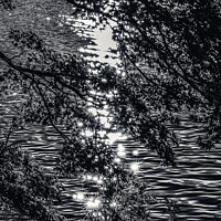 Buy canvas prints of Black White Lake Ashiniko Water Reflection Abstract Hakone Kanag by William Perry