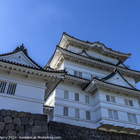 Buy canvas prints of Castle Entrance Odawara Kanagawa Japan by William Perry