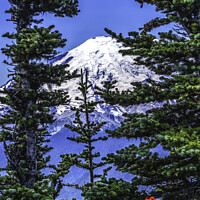 Buy canvas prints of Colorful Flowers Mount Rainier Crystal Mountain Lookout Pierce C by William Perry