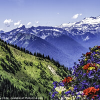 Buy canvas prints of Colorful Flowers Mount Rainier Crystal Mountain Lookout Washingt by William Perry