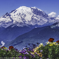 Buy canvas prints of Colorful Flowers Mount Rainier Crystal Mountain Lookout Pierce C by William Perry