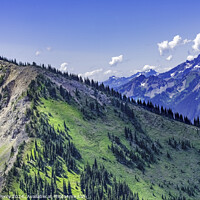 Buy canvas prints of Green Foothills Mt Rainier Crystal Mountain Washington by William Perry