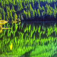 Buy canvas prints of Hikers Green Yellow Abstract Gold Lake Snoqualme Pass Washington by William Perry