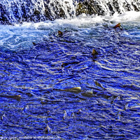 Buy canvas prints of Multi-colored Salmon Dam Issaquah Creek Wahington  by William Perry