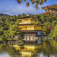 Buy canvas prints of Fall Leaves Kinkaku-Ji Golden Pavilion Buddhist Temple Kyoto Jap by William Perry