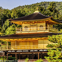 Buy canvas prints of Kinkaku-Ji Golden Pavilion Buddhist Temple Kyoto Japan by William Perry