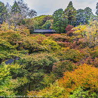 Buy canvas prints of Raining Fall Leaves Tofuku-Ji Buddhist Temple Kyoto Japan by William Perry