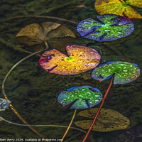 Buy canvas prints of Colorful Fall Lily Pads Tofuku-Ji Zen Buddhist Temple Kyoto Japa by William Perry