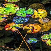 Buy canvas prints of Fall Lily Pads Tofuku-Ji Zen Buddhist Temple Kyoto Japan by William Perry