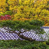 Buy canvas prints of Colorful Tree Fall Leaves Tofuku-Ji Zen Buddhist Temple Kyoto Ja by William Perry