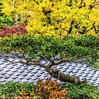 Buy canvas prints of Colorful Tree Fall Leaves Tofuku-Ji Temple Kyoto Japan by William Perry