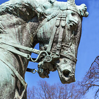 Buy canvas prints of Rienzi General Phil Sheridan Horse Statue Sheridan Circle Embass by William Perry