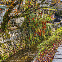 Buy canvas prints of Orange Berries Fall Philosopher's Walk Canal Kyoto Japan by William Perry