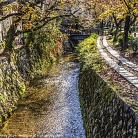 Buy canvas prints of Orange Berries Fall Philosopher's Walk Canal Kyoto Japan by William Perry