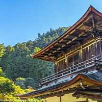 Buy canvas prints of Kannon Hall Ginkakuji Silver Temple Kyoto Japan by William Perry