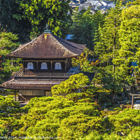 Buy canvas prints of Colorful Ginkakuji Silver Pavilion Tori Gate Buddhist Temple Kyo by William Perry