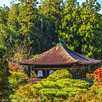 Buy canvas prints of Colorful Fall Kannon Hall Ginkakuji Silver Temple Kyoto Japan by William Perry