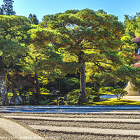 Buy canvas prints of Ginkakuji Silver Pavilion Temple Rock Garden Kyoto Japan by William Perry