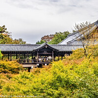 Buy canvas prints of Fall Leaves Tofuku-Ji Buddhist Temple Kyoto Japan by William Perry