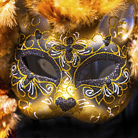 Buy canvas prints of Colorful Mask Feathers Mardi Gras New Orleans Loui by William Perry