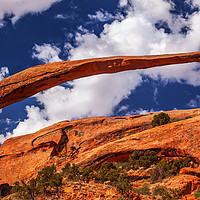Buy canvas prints of Landscape Arch Arches National Park Utah by William Perry