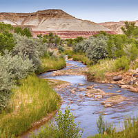 Buy canvas prints of Fremont River Capitol Reef National Park Utah by William Perry