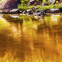 Buy canvas prints of Gold Yellow Reflection Abstract Colorado River Uta by William Perry