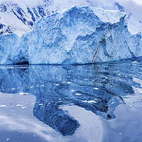 Buy canvas prints of Iceberg Reflection Dorian Bay Antarctica by William Perry