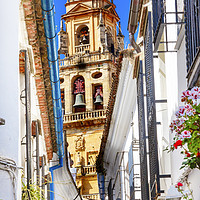 Buy canvas prints of Flower Street Torre del Aliminar Tower Mezquita Co by William Perry