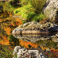 Buy canvas prints of Fall Colors Orange Fire Wenatchee River Valley Was by William Perry