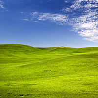 Buy canvas prints of Grass Blue Skies Palouse Washington State by William Perry