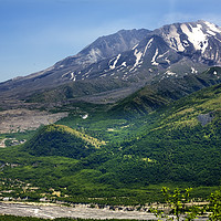 Buy canvas prints of Mount Saint Helens National Park Washington by William Perry