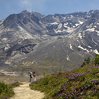 Buy canvas prints of Mount Saint Helens National Park Washington by William Perry