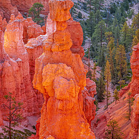 Buy canvas prints of Thor's Hammer Hoodoo Sunset Point Bryce Canyon Nat by William Perry