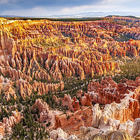 Buy canvas prints of Amphitheater Hoodoos Bryce Canyon National Park Ut by William Perry