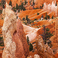 Buy canvas prints of Hoodoos Bryce Canyon National Park Utah by William Perry