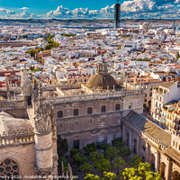 Buy canvas prints of City View from Giralda Tower Seville Cathedral Garden Bull Ring Seville Spain by William Perry