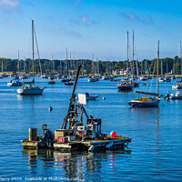 Buy canvas prints of Mooring Raft Sailboats Padanaram Harbor Dartmouth Massachusetts by William Perry