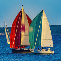 Buy canvas prints of Sailboats Racing Padanaram Harbor Dartmouth Massachusetts by William Perry