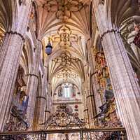Buy canvas prints of Stone Columns Choir Stalls New Salamanca Cathedral Spain by William Perry