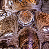 Buy canvas prints of Stone Columns Dome Statues New Salamanca Cathedral Spain by William Perry