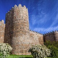 Buy canvas prints of Avila Turrets Castle Walls Cityscape Castile Spain by William Perry