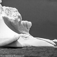 Buy canvas prints of Black and White Floating Iceberg Closeup Water Antarctica by William Perry