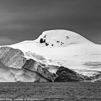 Buy canvas prints of Black and White Floating Iceberg Charlotte Harbor Anarctica by William Perry