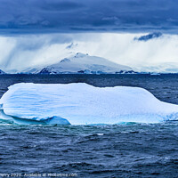 Buy canvas prints of Floating Blue Iceberg Charlotte Bay Antarctica by William Perry