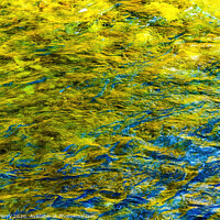 Buy canvas prints of Yellow Blue Snoqualme River Abstract Washington by William Perry