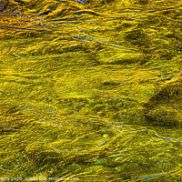 Buy canvas prints of Yellow Green Snoqualme River Abstract Washington by William Perry