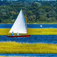Buy canvas prints of Colorful Cat Sailboat Wesport River Massachusetts by William Perry